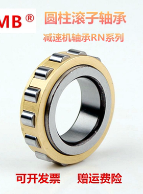 天马减速机轴承RN205 RN206 RN307M RN308 RN309M RN312M偏心轴承