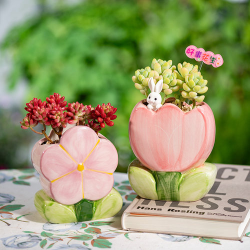 郁金香花朵陶瓷花盆多肉盆栽材料