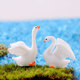 趣玩园艺微景观装 饰唯美天鹅白天鹅小动物摆件玻璃瓶微缩景观场景