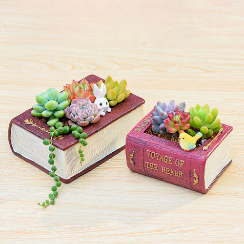 创意欧式复古多肉小花盆复古文学书本个性多肉花器盆栽送朋友礼物