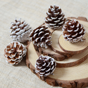 微景观 圣诞节装饰摆件优质落叶松果 小松花diy材料多肉植物饰品