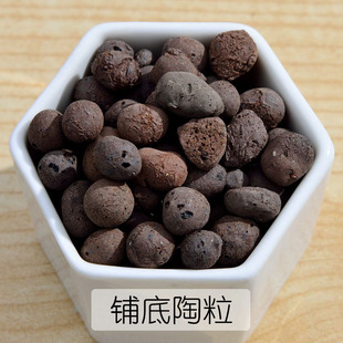 陶粒 垫底陶粒 多肉植物 钵底石 盆底石 防积水 防漏土
