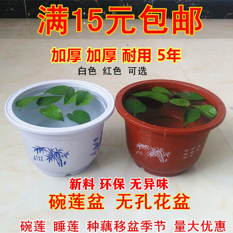 睡莲盆碗莲盆 塑料无孔花盆不漏水大圆形水培荷花藕植物水生花卉