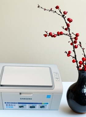 三星ML2161 M2071小型家用办公激光黑白打印复印扫描手机远程无线