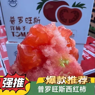 正宗普罗旺斯番茄沙瓤西红柿礼盒新鲜孕妇水果柿子
