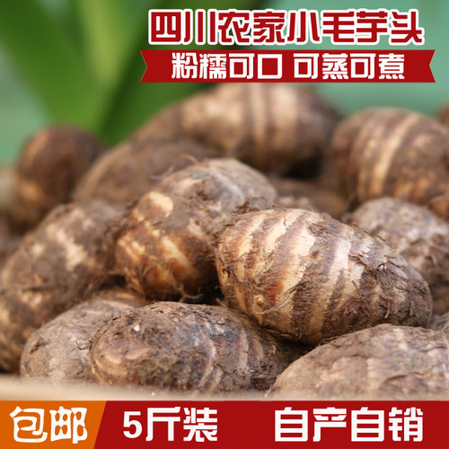四川农家自种芋头新鲜牛奶小香芋毛芋儿芋圆软糯蔬菜现挖现发