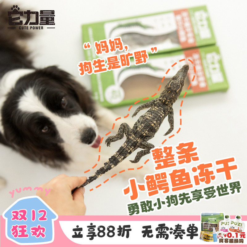 它力量猎奇冻干小鳄鱼洁齿狗零食