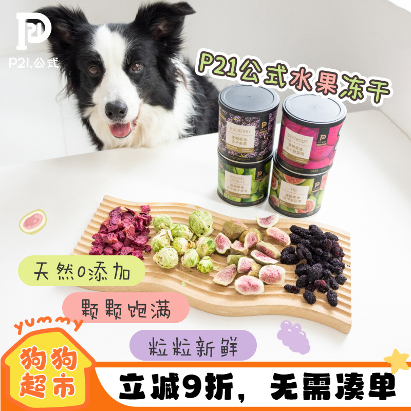 P21宠物零食水果冻干主食伴侣