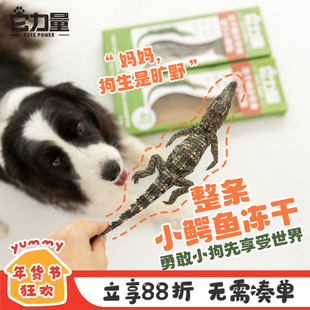 它力量小鳄鱼冻干狗狗猫咪食疗BARF猎奇蛋白质成幼犬磨牙洁齿零食