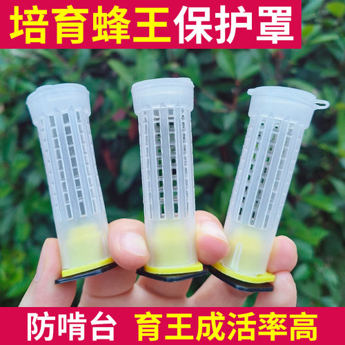 蜜蜂王台保护罩防啃咬塑料护王台王笼中意育王专用防咬保护罩养蜂