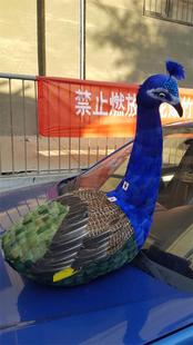 仿真孔雀/孔雀身子摆件/园林装饰/会展布置/橱窗摆设/摄影道具