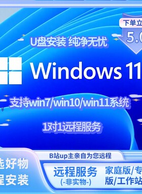 B站up远程重装正版windows11电脑系统win10工作站版专业安装升级