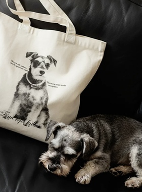 FSK 趣味雪纳瑞印花帆布包通勤上课帆布袋单肩包大容量布包