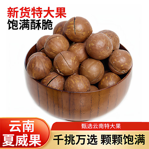 三重甄选高品质特大夏威夷果