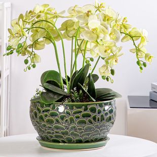包邮 花盆陶瓷特大号带托盘创意个性 绿植简约古典绿萝花盆阳台