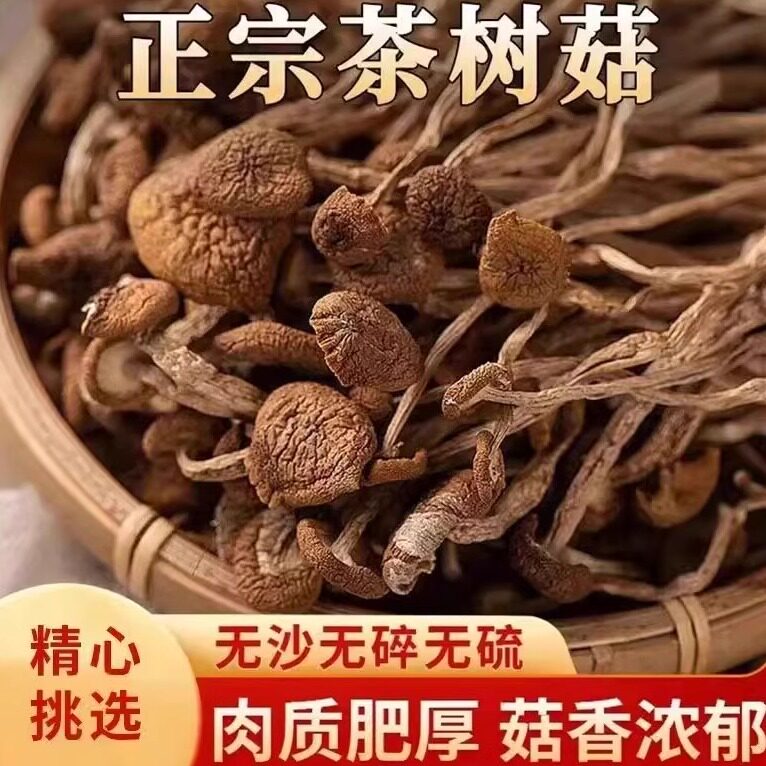 菌裕不开伞茶树菇净重500g煲汤农家新货茶薪菇散装干货产地直销