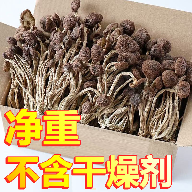 菌裕新货500g农家茶树菇干货甄选不开伞切根新鲜茶薪菇香菇蘑菇
