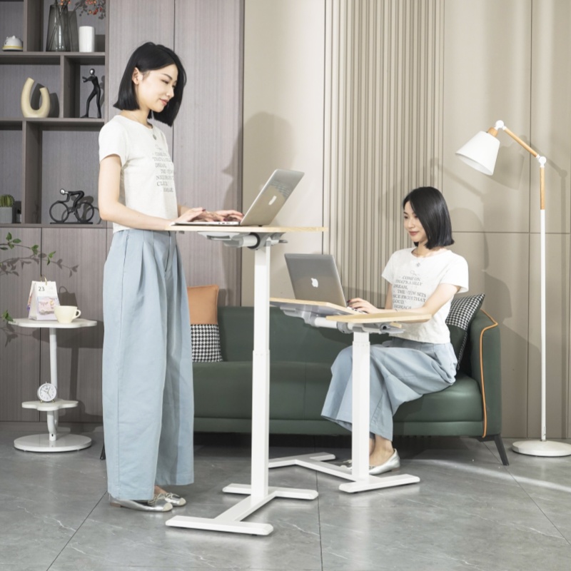 Frankwood升降书桌沙发电脑桌