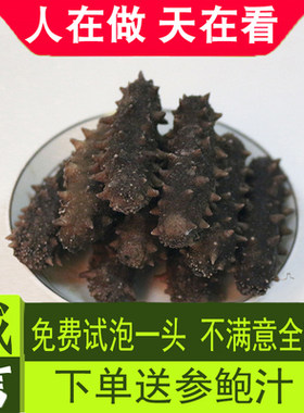 高泡发大连辽野生生生生进口海参