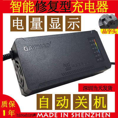 （自动关机断电）电动车电瓶充电器48V12AH20AH60V72爱玛雅迪通用