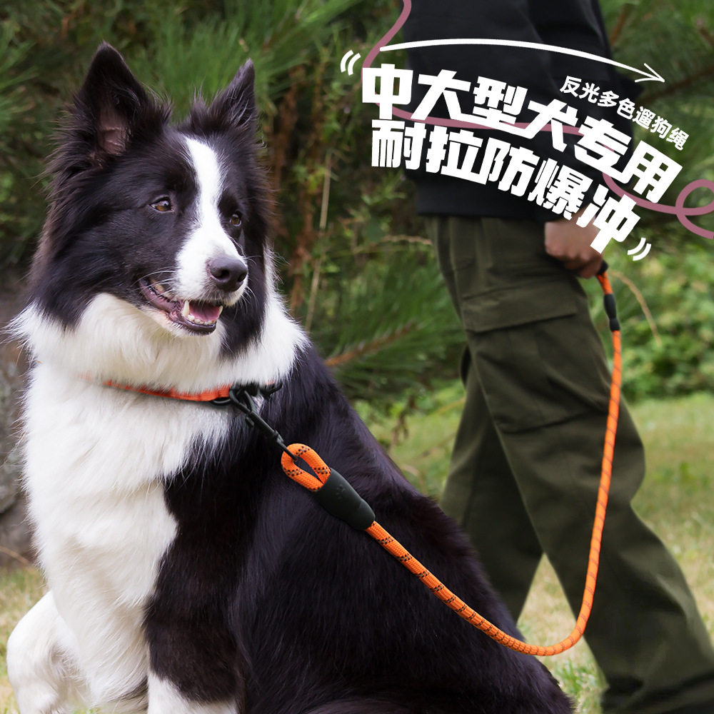 十色可选狗狗牵引绳反光