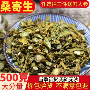 桑寄生500g克包邮 桑寄生茶 广寄生配杜仲当归干货可磨桑寄生粉