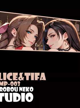 【现货】泥棒猫工作室 DSMP 003 爱丽丝 蒂法 立体装饰画