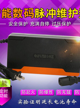 铅酸24V电动车电瓶代步车充电器24V12AH24伏20AH30A50A轮椅车新款