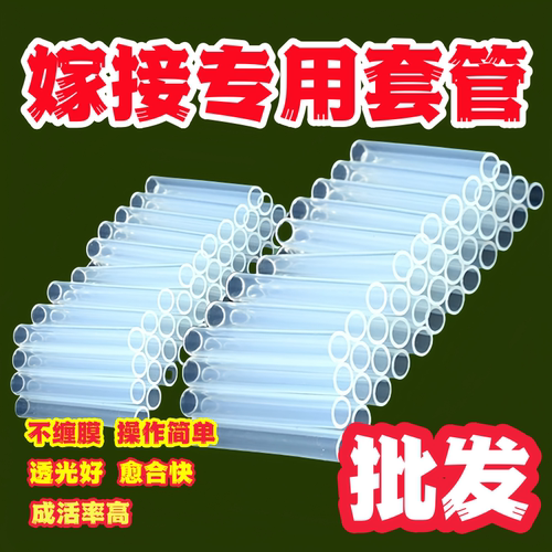 果树嫁接专用套管百香果园艺