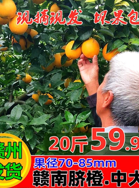 正宗江西赣南脐橙新鲜孕妇水果赣州安远寻乌甜橙子现摘现发斤20