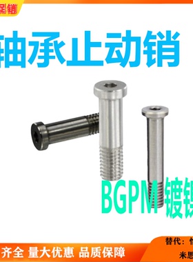 轴承止动销BGPS BGPM6 8 10 12-9 11 13 14 17 18-L20 25 30 40