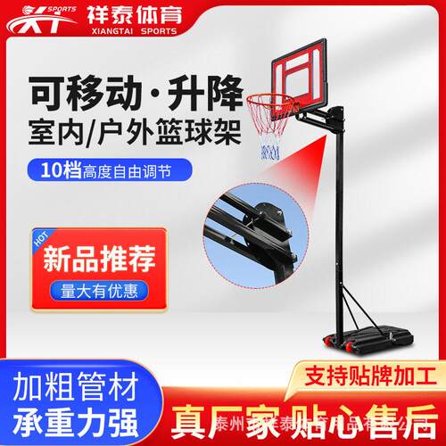 新品热销篮球架亲子运动户外可移动扇形五档度调节篮球架