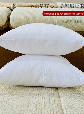 抱枕芯内胆方形枕芯45×45客厅沙发靠垫芯腰靠十字绣抱枕枕芯睡觉