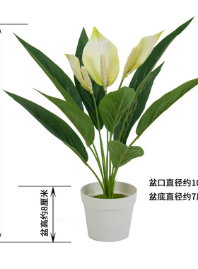 客厅汕头仿真绿植工厂直销