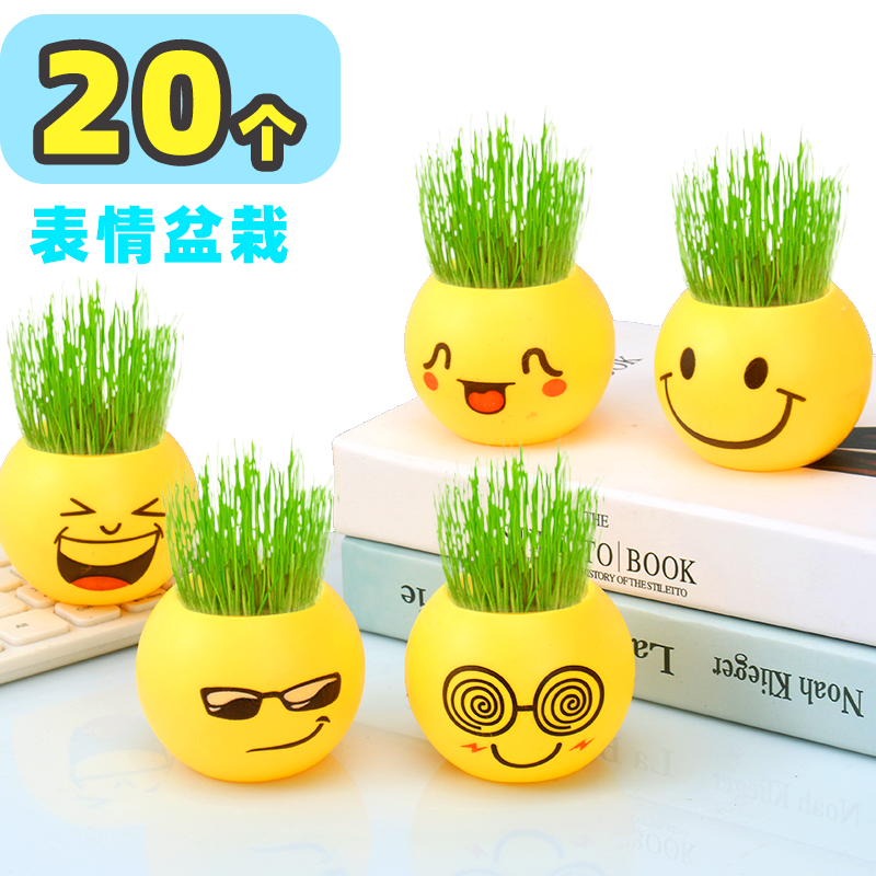 植物办公桌盆栽小草盆栽表情盆栽学生礼品奖品随手礼表情栽培
