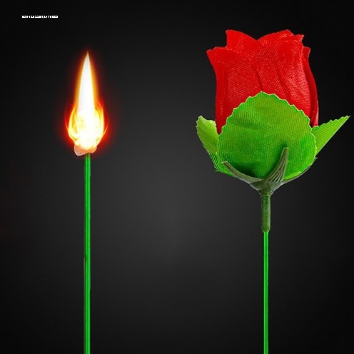 魔术道具包邮火把变玫瑰花火变玫瑰近景舞台泡妞晚会节目表演
