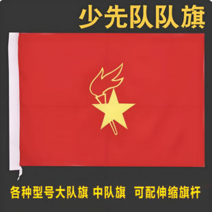 中国少年先锋队旗中队旗大队旗学生少先队员红旗手持少先队队旗