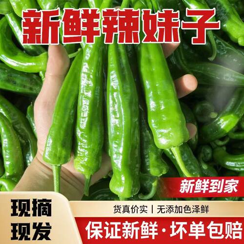辣妹子特辣辣椒尖椒美人椒小辣椒朝天椒薄皮辣椒青椒线椒杭椒新鲜