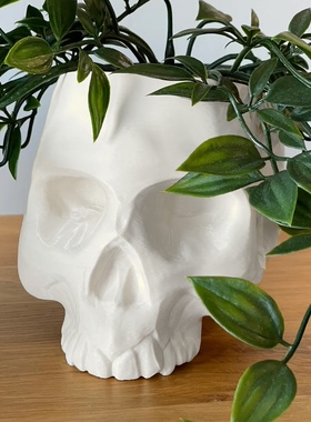 3D打印骷髅头盆栽家具摆件