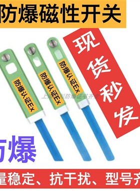 AL-96DF-EX防爆磁性开关AL-96N-EX防水火型号齐全本安气缸感应器