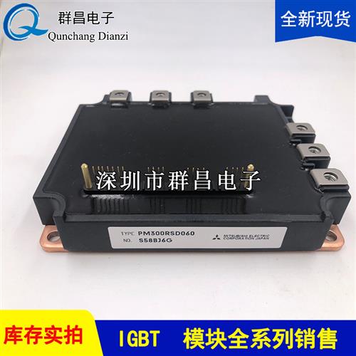 PM300RSD060 PM100RLA120 PM150RL1A120 PM300RLA060 PM150CL1A12