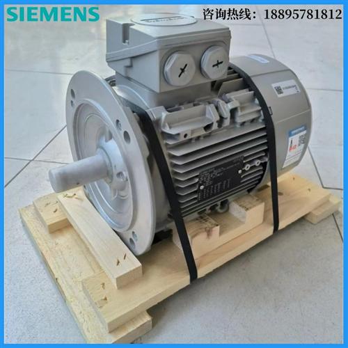 电机1LE1001-0DB22-1FA4-Z0.55KW4P立式进口异步交流电动机