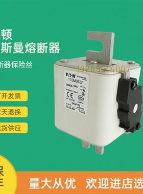 全新快速熔断器保险170M8627 170M8629 170M8630 170M8631