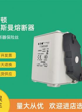 全新快速熔断器保险170M5595 170M5596 170M5597 170M5598