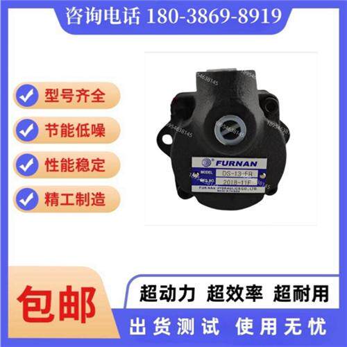 新款福南定量叶片泵 DS-11-FR/DS-12-FR/DS-13-FR/DS-1现货