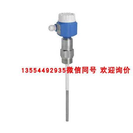 进口 E+H 电容液位开关 FTI51-AAB2GGJ73A2AL1=350mmL2=300mm