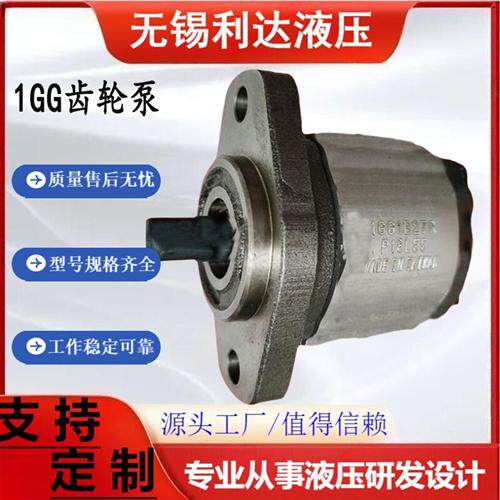 新款钰盟齿轮泵1GG1P01R/02R/04R/05R/06R/07R/09R/11R/现货