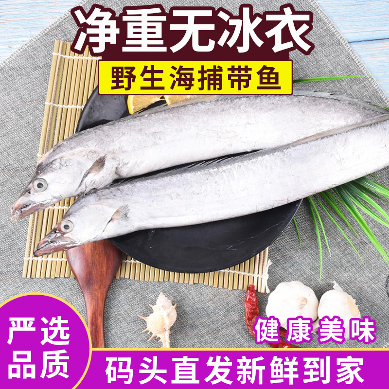 新鲜整条特大吕四带鱼段东海小眼带鱼2-3条/斤冷冻水产整箱5斤装