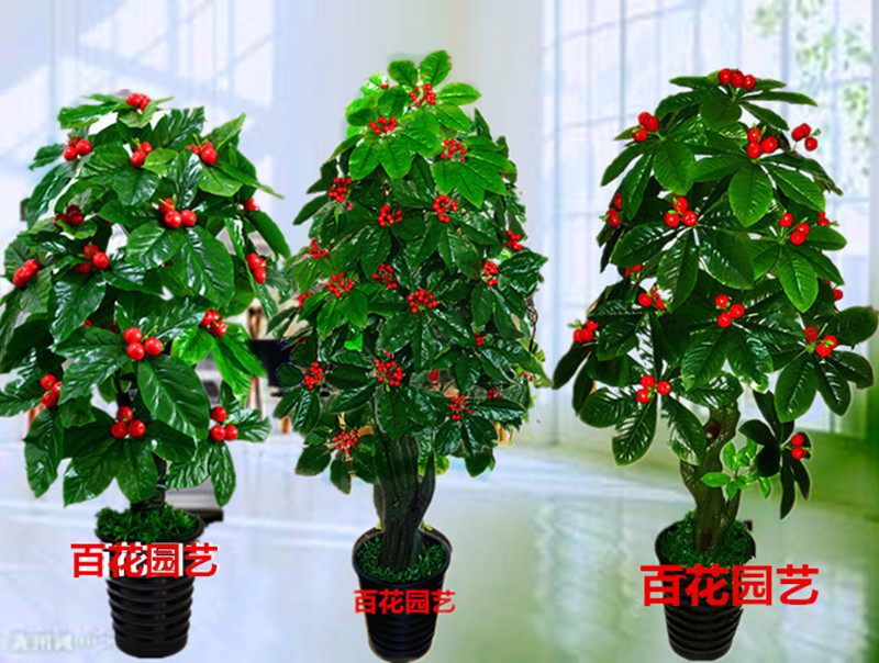 招财假树樱桃金桔树仿真花树果树盆栽大型客厅室内假花装饰绿植物,鲜花速递/花卉仿真/绿植园艺,仿真绿植,淘宝优惠券,粉丝福利购,淘宝优惠卷
