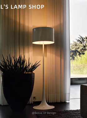 意大利经典高级感客厅绅士落地灯设计师款卧室后现代书房简约灯具